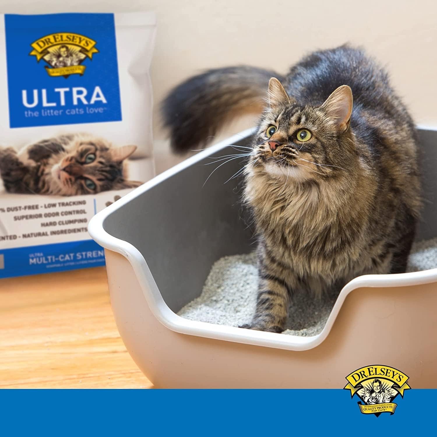Amazon Best Seller: Dr. Elsey’s Ultra-Premium Clumping Cat Litter Review: The Gold Standard for Multi-Cat Households