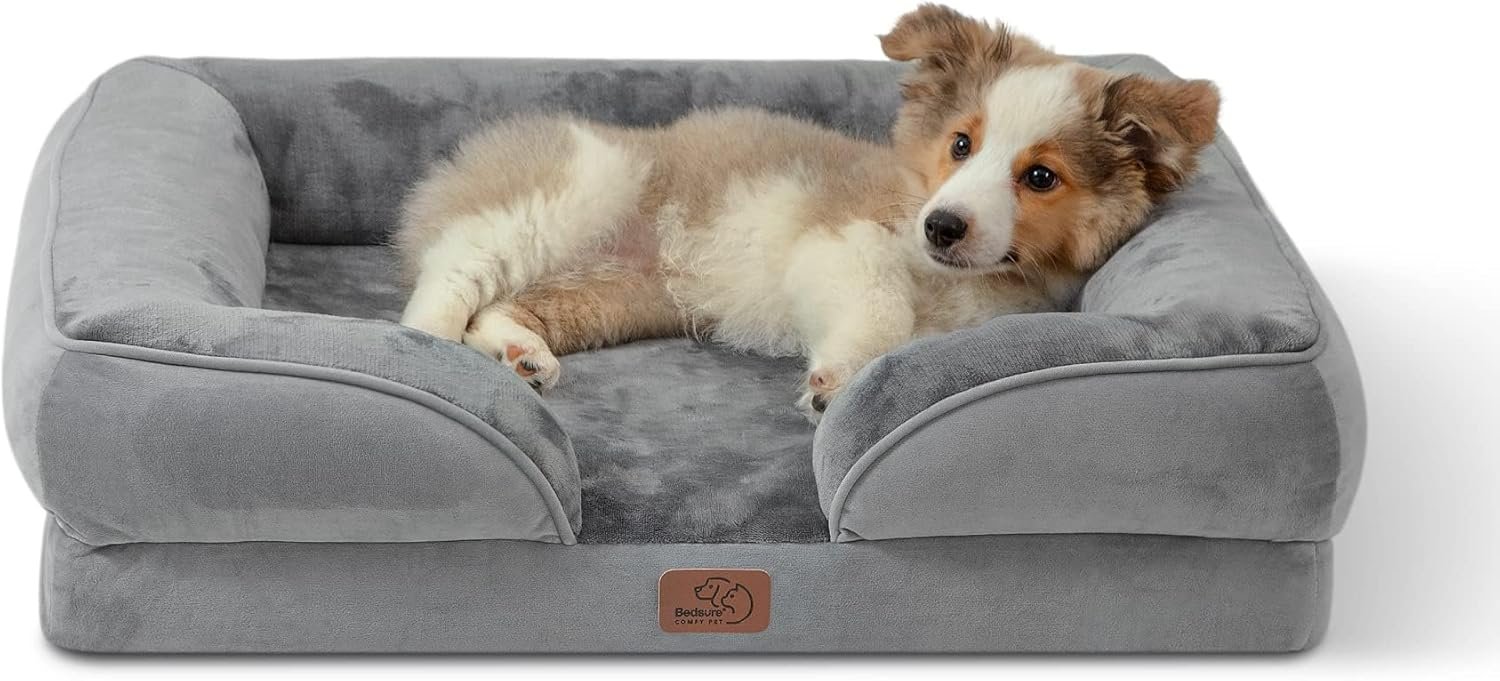 Top Amazon Seller: Bedsure Orthopedic Dog Bed Review: Premium Comfort at Budget-Friendly Prices