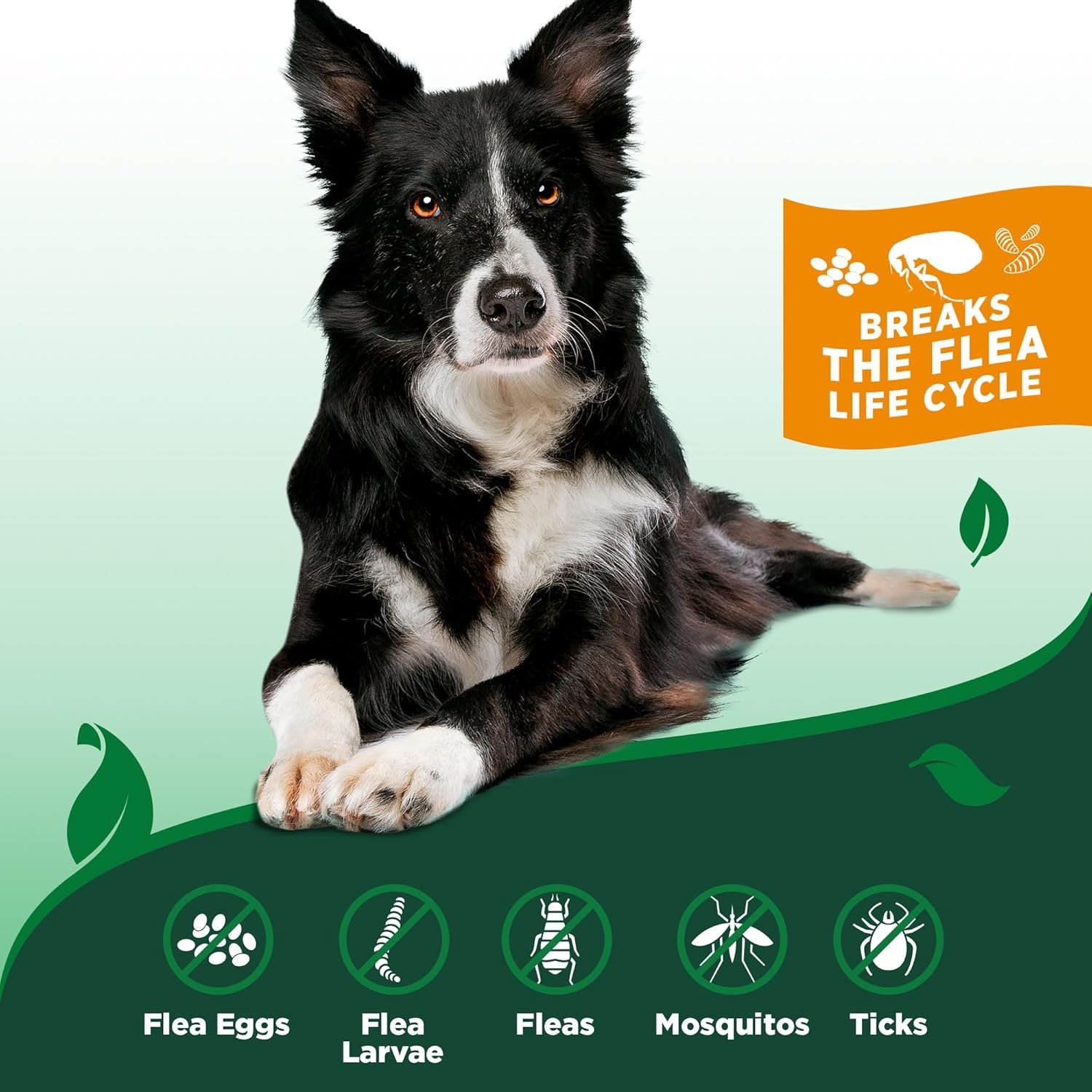 Vet’s Best Flea and Tick Home Spray Review 2025: Natural Protection That Actually Works